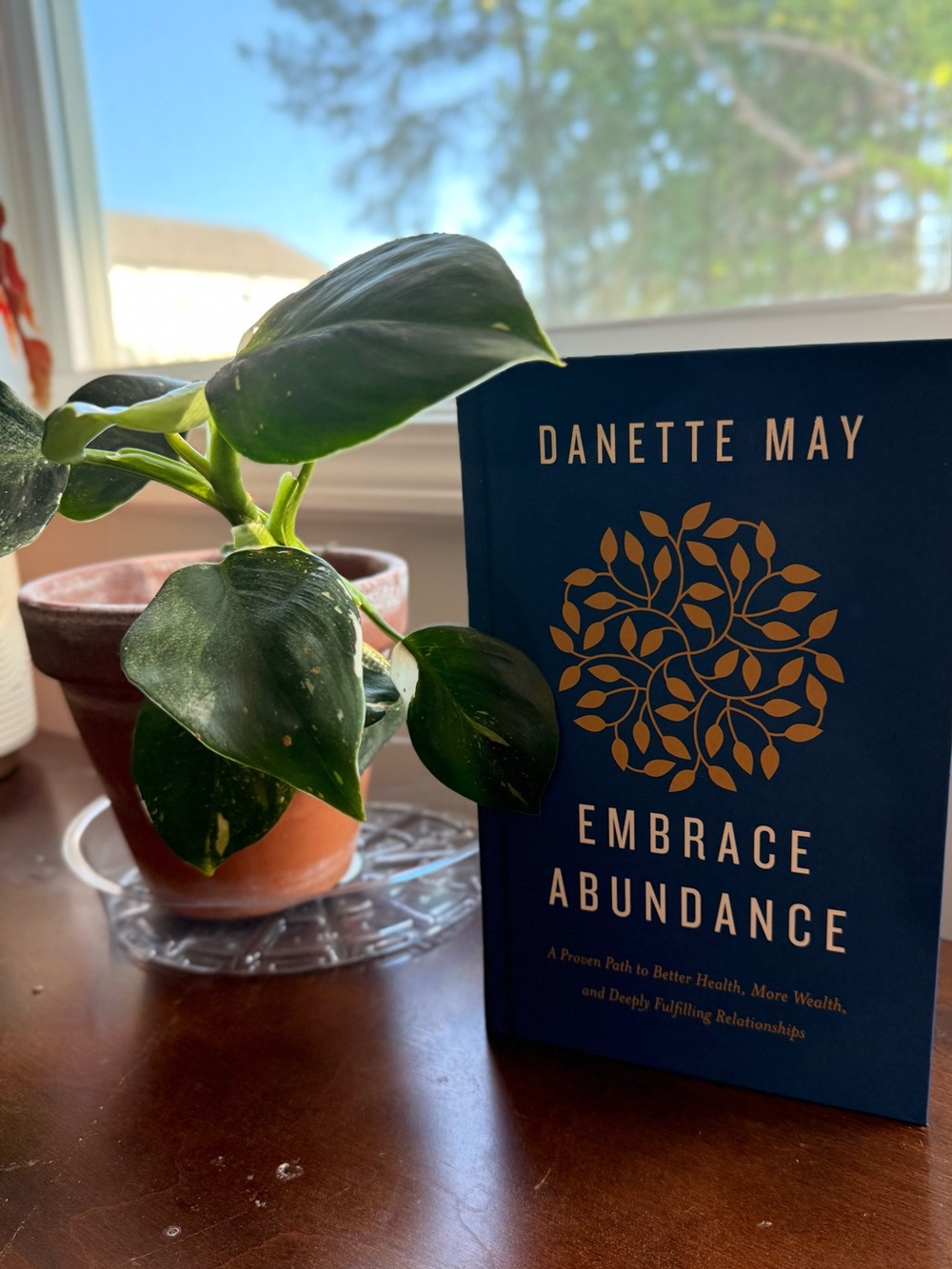 Embrace Abundance Hardcover Danette May NEW Self Growth Book